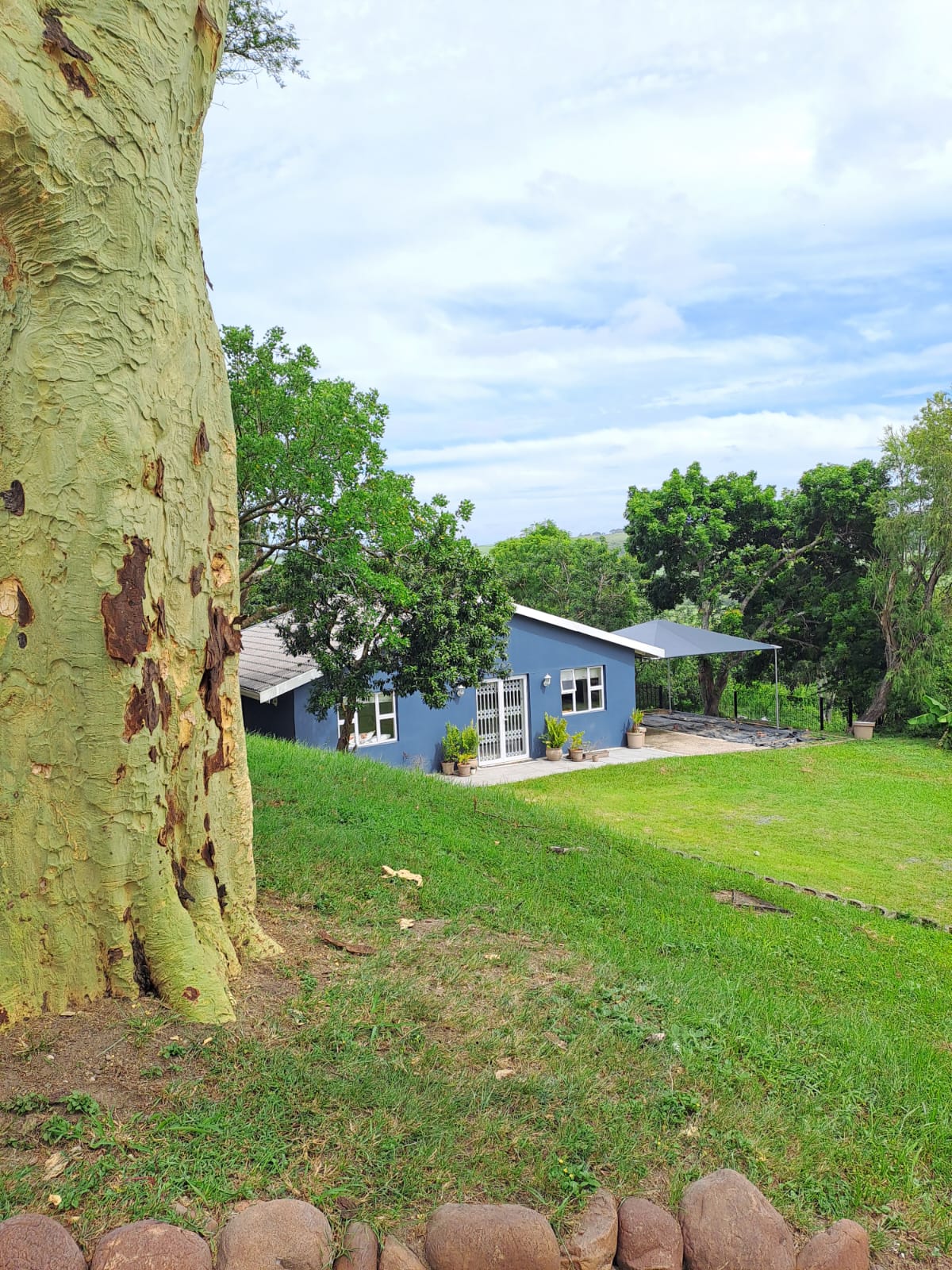 Care Cottage set among indigenous trees