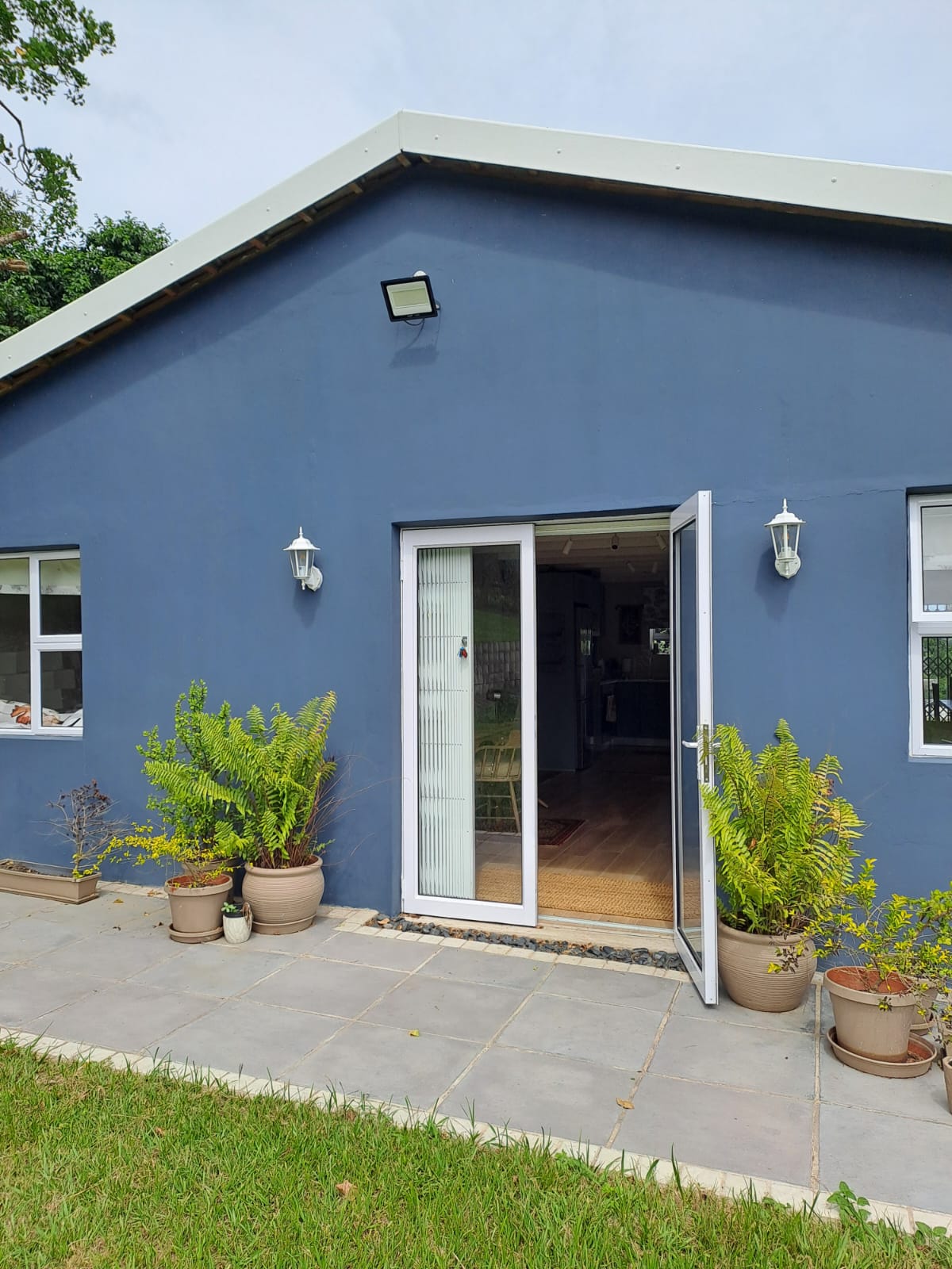 Private entrance with potted ferns